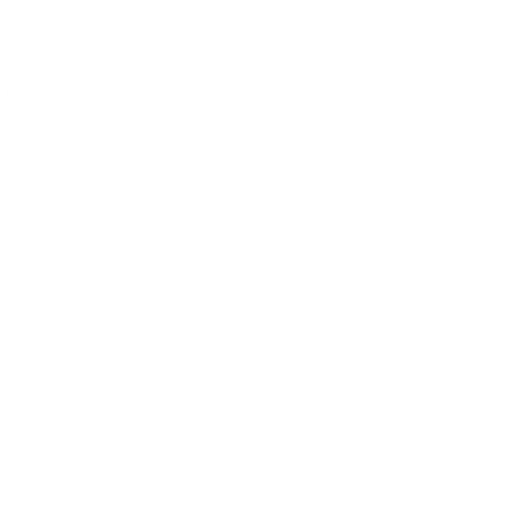 Shield Icon