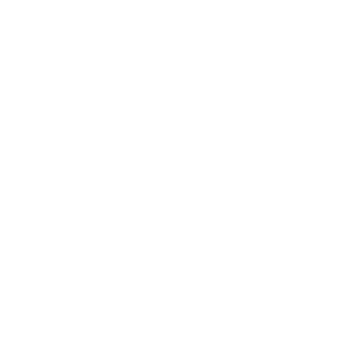 Sports Car Icon