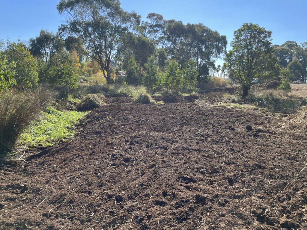 Site Preparation