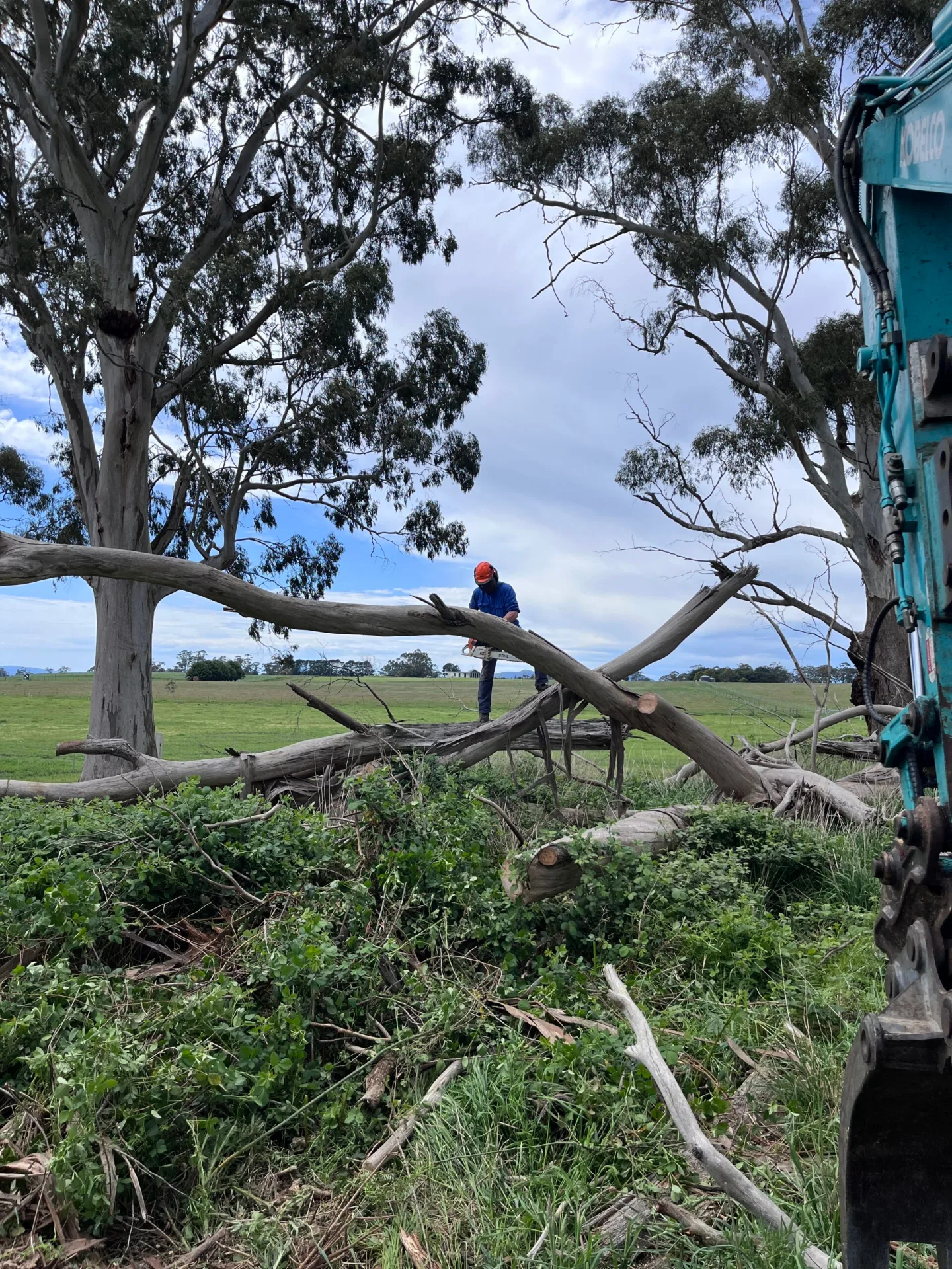 Site Preparation