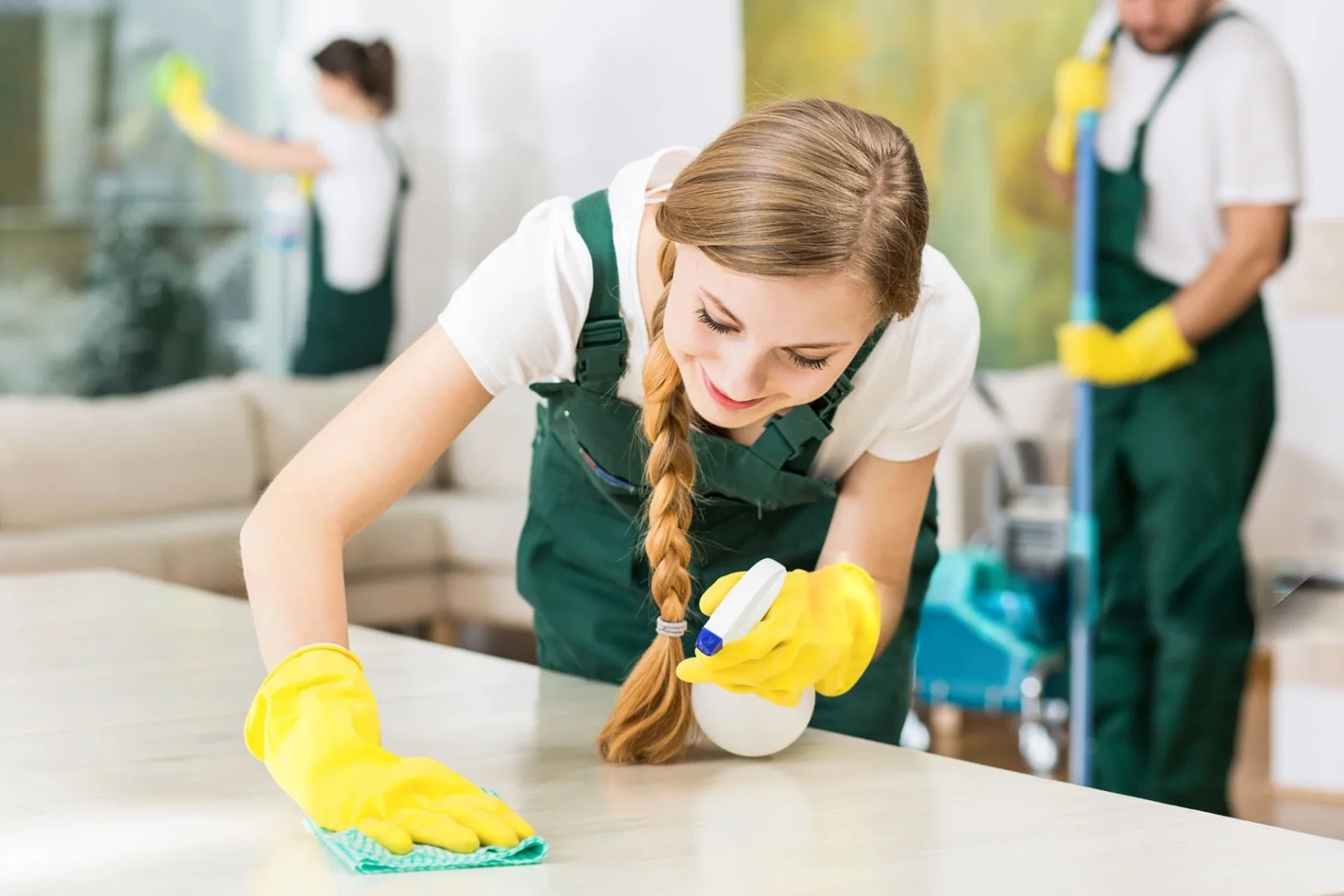 Domestic Assistance
