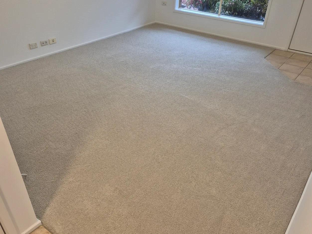 Carpet Restretching Service